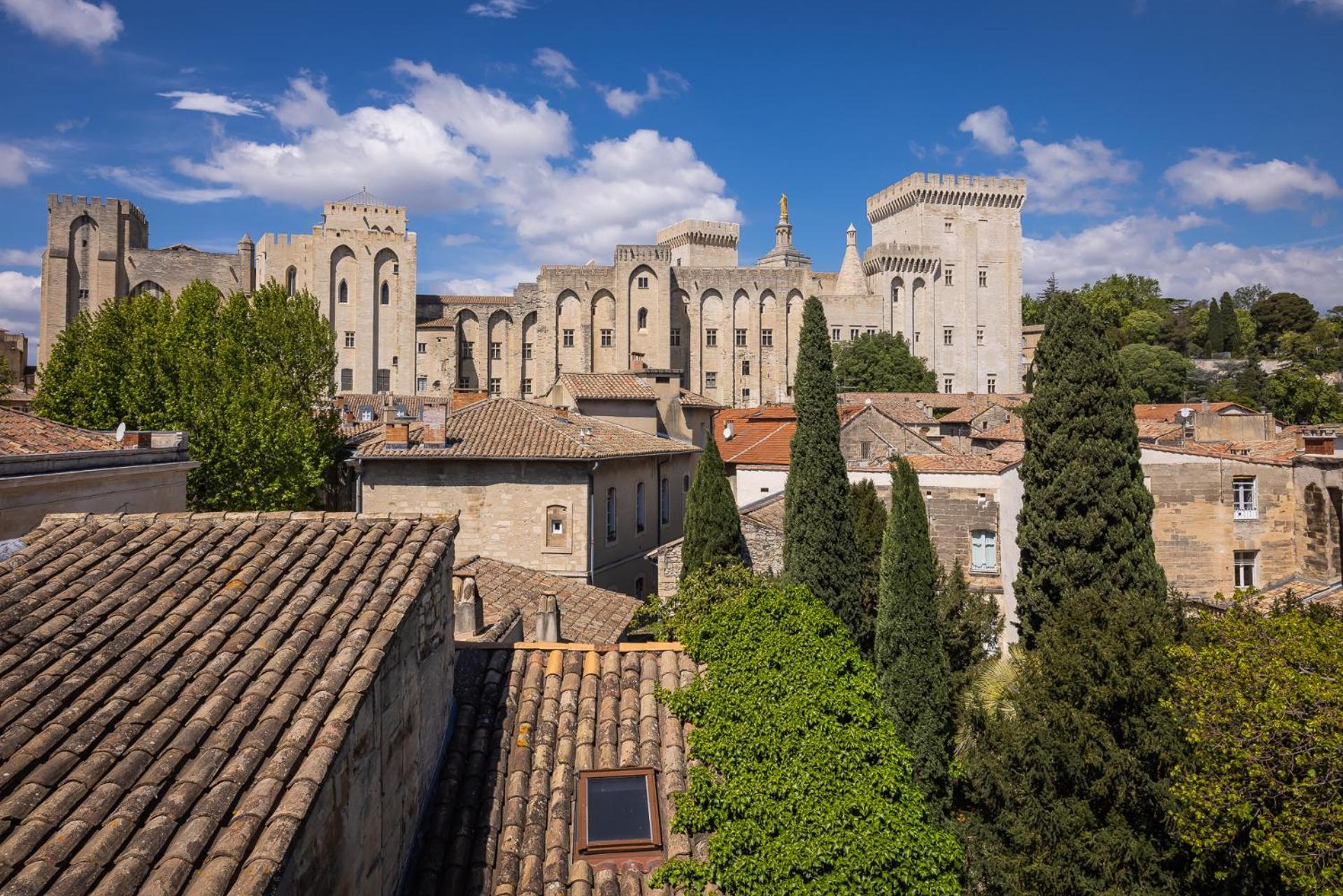 Avignon Intra-Muros, Vue Palais Des Papes Dış mekan fotoğraf